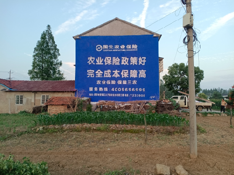  象山墙体广告为何受追捧？